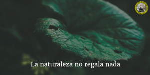 La naturaleza no regala nada