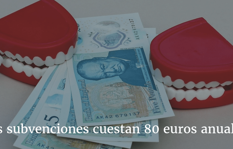 Las subvenciones cuestan 80 euros anuales
