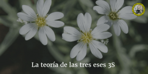 Teoría de las tres eses 3s