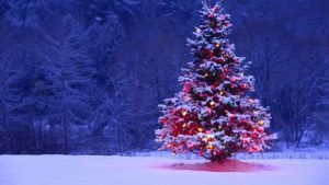 Espicha de Navidad