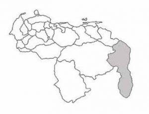 Errores de las medidas económicas en Venezuela