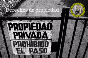 Regulación y derechos de propiedad privada