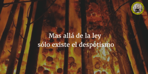 Mas allá de la ley sólo existe el despotismo