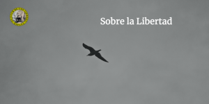 Sobre la LIbertad
